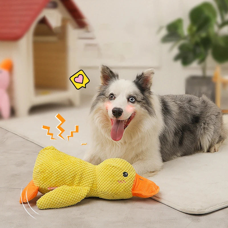 QUACK-QUACK DOG TOY.