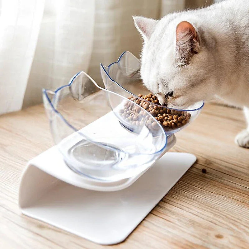 Non-Slip Double Cat Bowl.